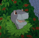 Аватара пользователя