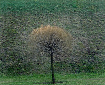 Легкое касание Провидения, из цикла Белорусский ментальный пейзаж.
