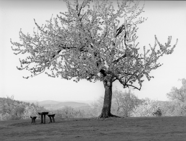 Film 120 Kodak TMY400 bw<br />Camera Pentax 645N<br />Lens SMC Pentax-FA 645 1:2,8 75mm<br />Filter: PO0 (Yellow Green)<br />Exposure Compensation +2EV<br />Film scanner Nikon Coolscan LS-8000