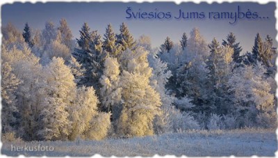 Милашявичюс Геркус