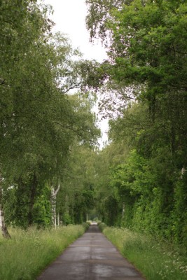 Kamera: Canon<br />Modell: Canon EOS 50D<br />ISO: 200<br />Belichtung: 1/1000 Sek.<br />Blende: 1.8<br />Brennweite: 50mm