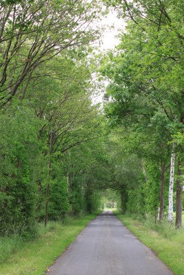 ISO: 100<br />Belichtung: 1/100 Sek.<br />Blende: 5.0