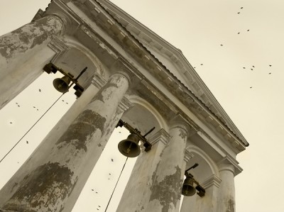 Но тут налетели птички... очень много....