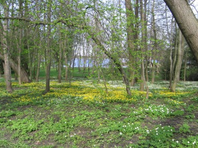 Людмила_парк_2009