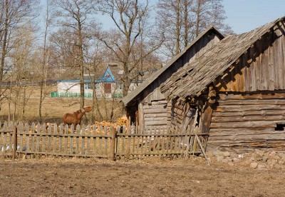 весенний Зов