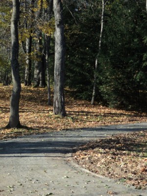 batanya_nesvizh DSC02164