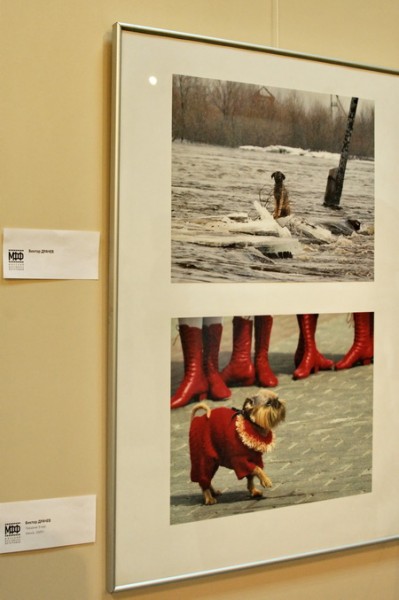 ...с претензией к Драчёву?!