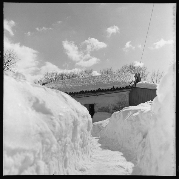 ЧТОБЫ ПОМНИТЬ, КАКАЯ ЗИМА БЫЛА В ЭТОМ ГОДУ...