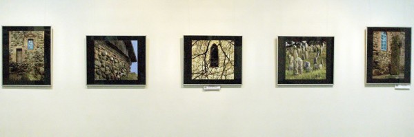 Работы Евгения Козюли