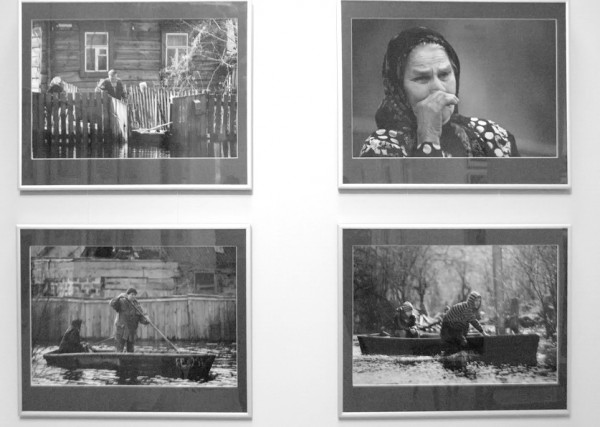 часть экспозиции Г.Ломако