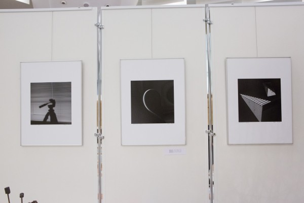 "Геометрия света" 2013-14г.