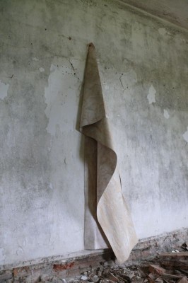 "Висят шпалерами ондатровые шкуры...".