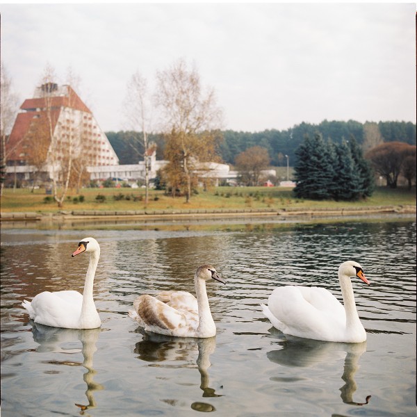 Во, сняу сёння случайна аткрытачку, хоць у саюзпечаць няси :)