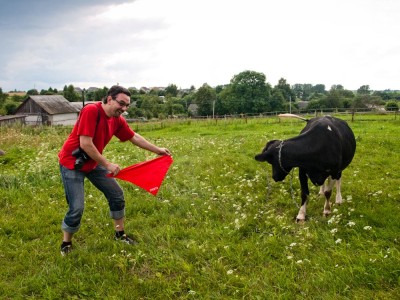 Торро!... Торро!...